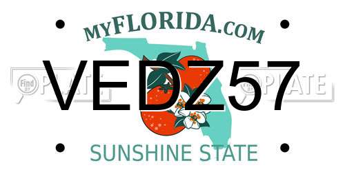 VEDZ57 Florida License Plate