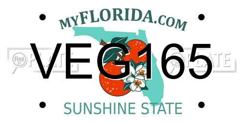 VEG165 Florida License Plate
