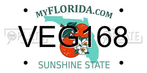 VEG168 Florida License Plate