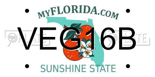 VEG16B Florida License Plate