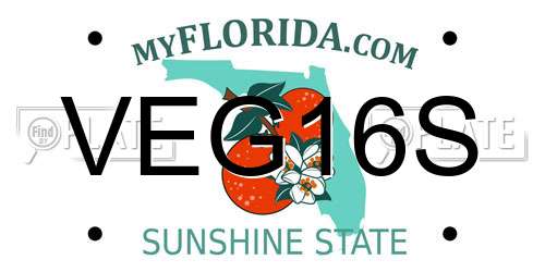 VEG16S Florida License Plate
