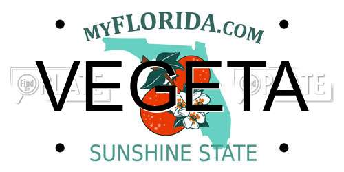 VEGETA Florida License Plate