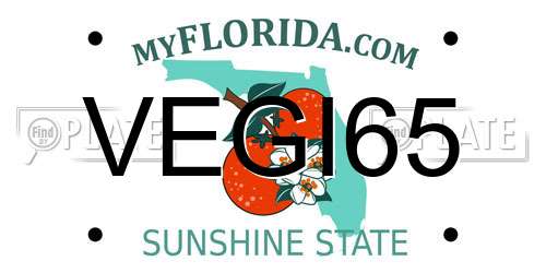 VEGI65 Florida License Plate