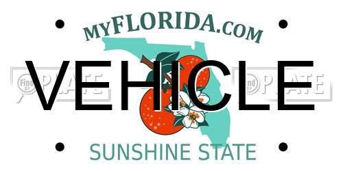 VEHICLE Florida License Plate