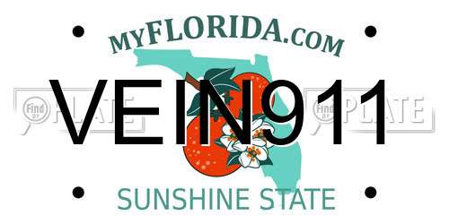 VEIN911 Florida License Plate
