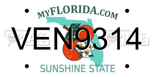 VEN9314 Florida License Plate