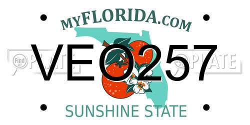 VEO257 Florida License Plate
