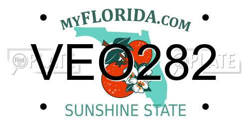 VEO282 Florida License Plate