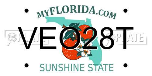 VEO28T Florida License Plate