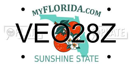 VEO28Z Florida License Plate