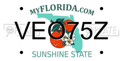 VEO75Z Florida License Plate