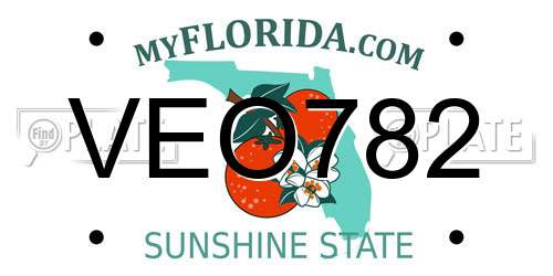 VEO782 Florida License Plate