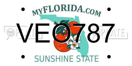 VEO787 Florida License Plate