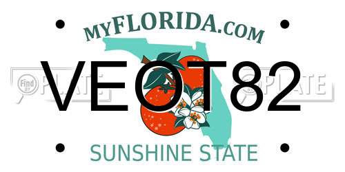 VEOT82 Florida License Plate