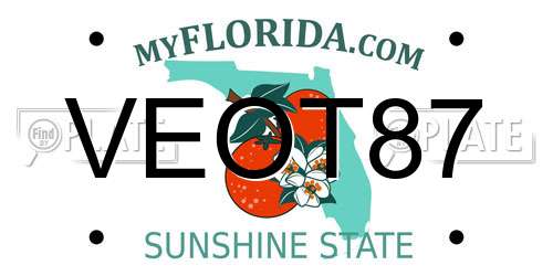 VEOT87 Florida License Plate