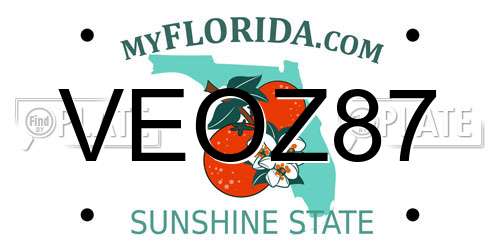 VEOZ87 Florida License Plate