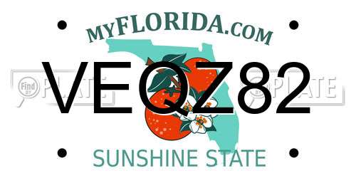 VEQZ82 Florida License Plate