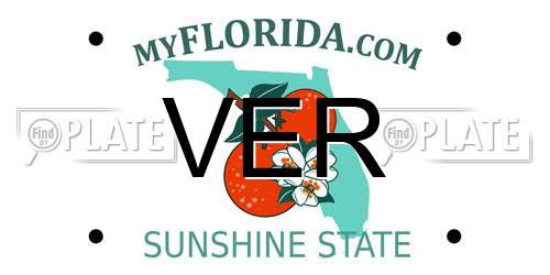 VER Florida License Plate