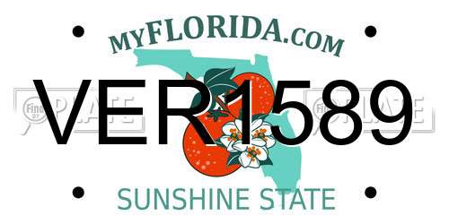 VER1589 Florida License Plate
