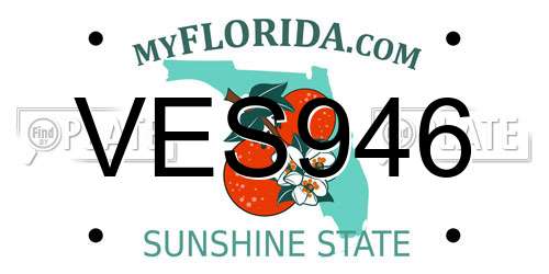 VES946 Florida License Plate