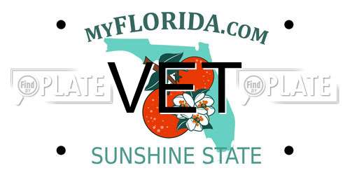 VET Florida License Plate