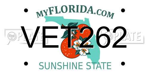 VET262 Florida License Plate