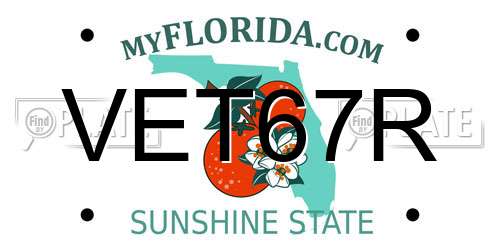 VET67R Florida License Plate