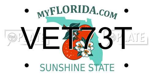 VET73T Florida License Plate