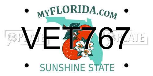 VET767 Florida License Plate