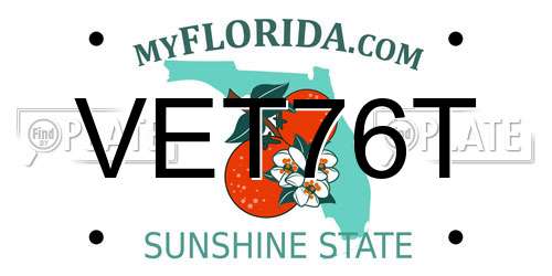 VET76T Florida License Plate