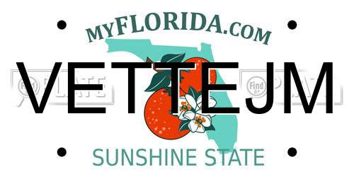 VETTEJM Florida License Plate