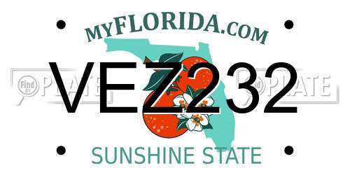 VEZ232 Florida License Plate