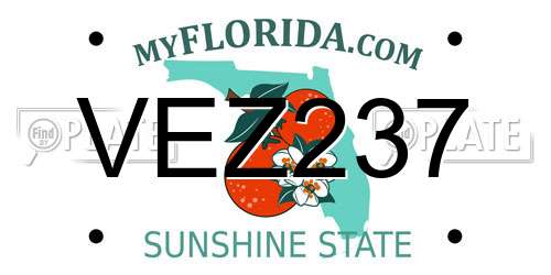 VEZ237 Florida License Plate
