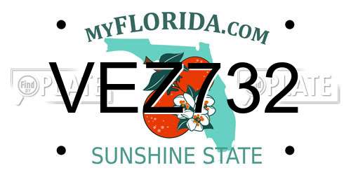 VEZ732 Florida License Plate