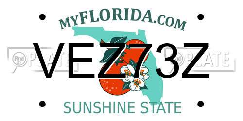 VEZ73Z Florida License Plate
