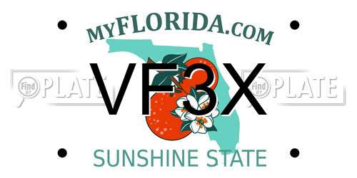 VF3X Florida License Plate