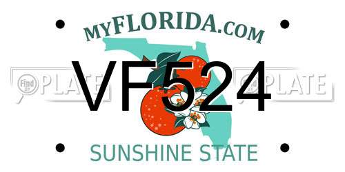 VF524 Florida License Plate