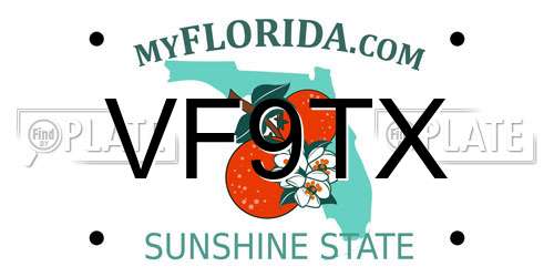 VF9TX Florida License Plate