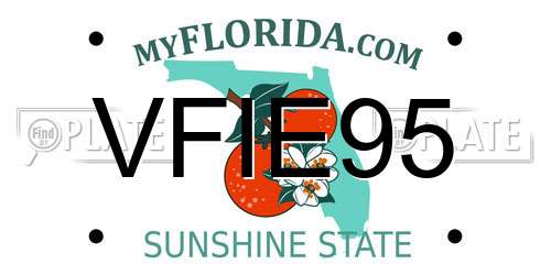 VFIE95 Florida License Plate