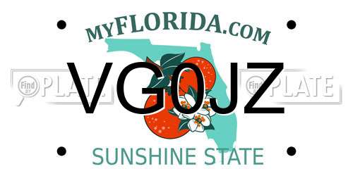 VG0JZ Florida License Plate