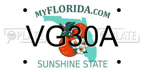 VG30A Florida License Plate