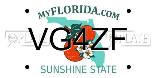 VG4ZF Florida License Plate