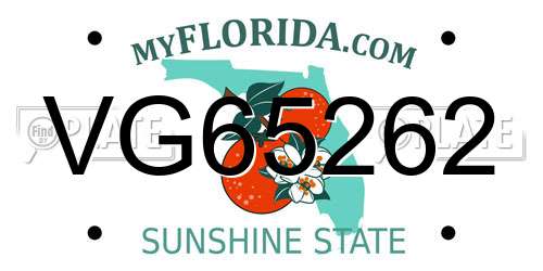 VG65262 Florida License Plate