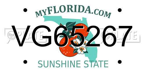 VG65267 Florida License Plate
