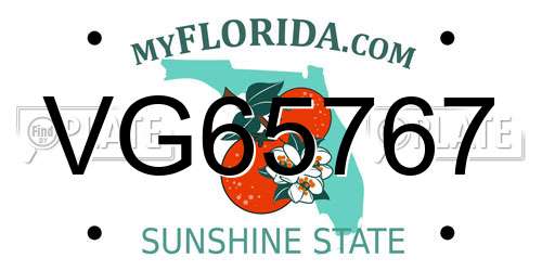 VG65767 Florida License Plate