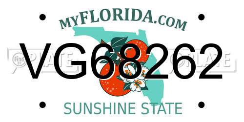 VG68262 Florida License Plate