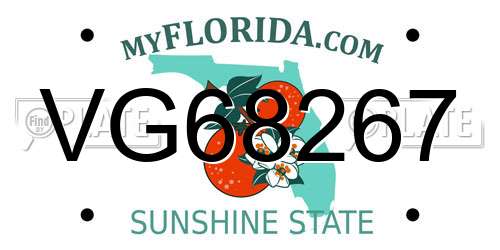 VG68267 Florida License Plate