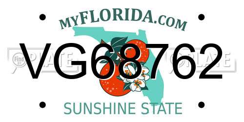 VG68762 Florida License Plate