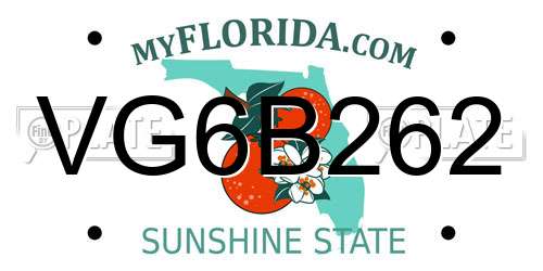 VG6B262 Florida License Plate