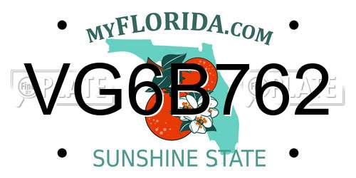VG6B762 Florida License Plate